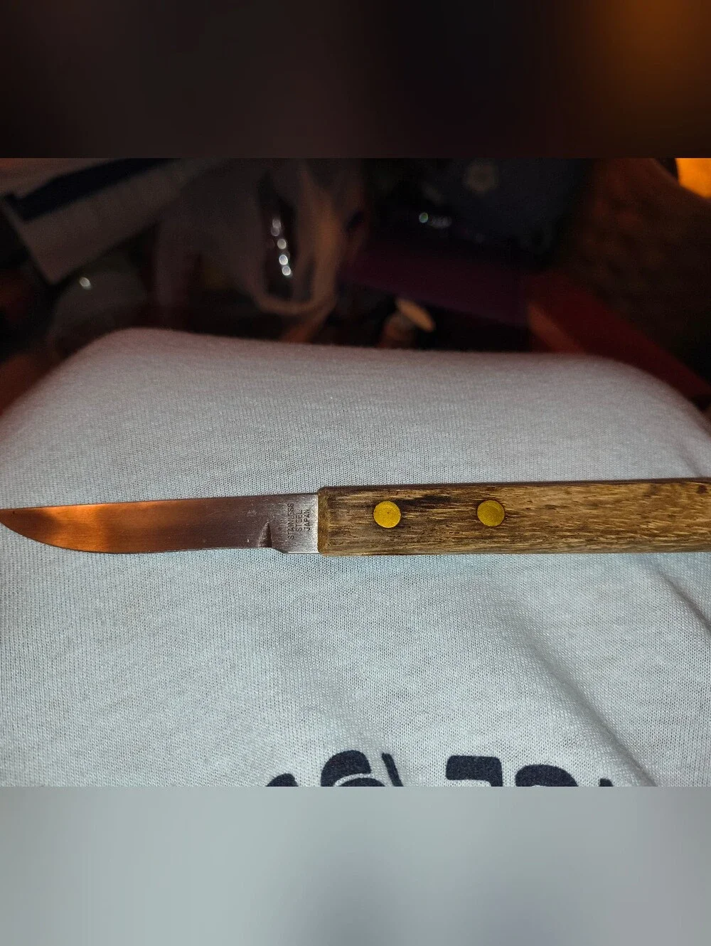 Vintage Stainless Steel Knife